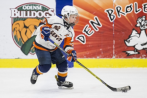 Klik for at se eller bestil foto