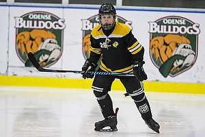 Klik for at se eller bestil foto