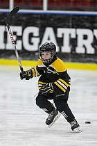 Klik for at se eller bestil foto