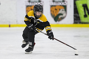 Klik for at se eller bestil foto