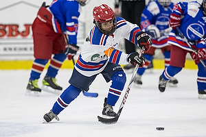 Klik for at se eller bestil foto