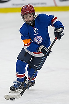 Klik for at se eller bestil foto