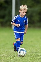 Klik for at se eller bestil foto