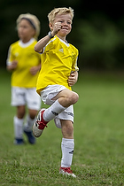 Klik for at se eller bestil foto