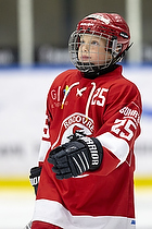 Klik for at se eller bestil foto