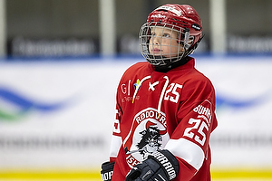 Klik for at se eller bestil foto