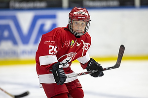 Klik for at se eller bestil foto