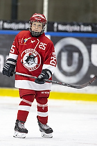 Klik for at se eller bestil foto