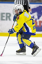 Klik for at se eller bestil foto