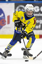 Klik for at se eller bestil foto