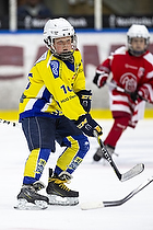 Klik for at se eller bestil foto