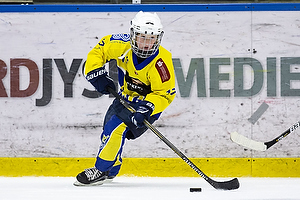 Klik for at se eller bestil foto