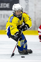 Klik for at se eller bestil foto