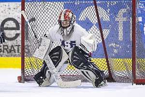 Klik for at se eller bestil foto