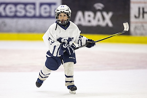 Klik for at se eller bestil foto