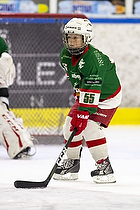 Klik for at se eller bestil foto