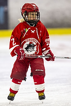 Klik for at se eller bestil foto