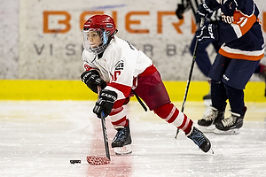 Klik for at se eller bestil foto