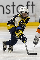 Klik for at se eller bestil foto