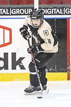 Klik for at se eller bestil foto