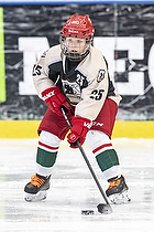 Klik for at se eller bestil foto