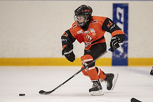 Klik for at se eller bestil foto