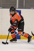 Klik for at se eller bestil foto