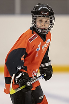 Klik for at se eller bestil foto