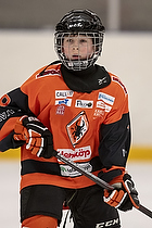 Klik for at se eller bestil foto