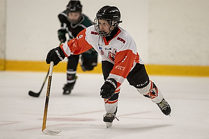 Klik for at se eller bestil foto