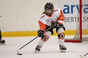 Klik for at se eller bestil foto