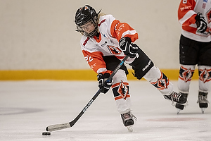 Klik for at se eller bestil foto