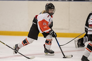 Klik for at se eller bestil foto