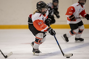 Klik for at se eller bestil foto