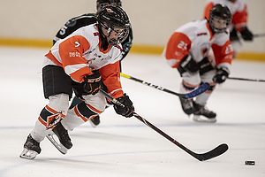 Klik for at se eller bestil foto