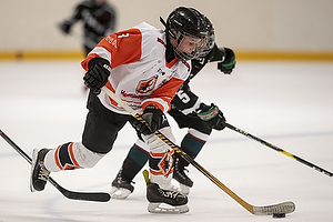 Klik for at se eller bestil foto