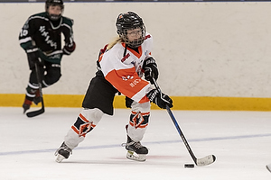 Klik for at se eller bestil foto