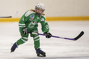 Klik for at se eller bestil foto