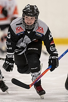 Klik for at se eller bestil foto