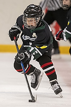 Klik for at se eller bestil foto