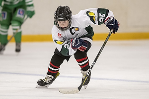 Klik for at se eller bestil foto