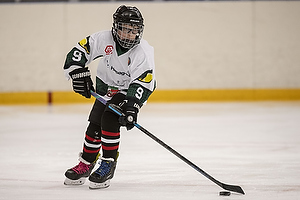 Klik for at se eller bestil foto