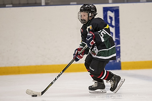 Klik for at se eller bestil foto