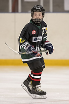 Klik for at se eller bestil foto