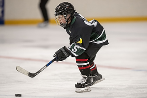 Klik for at se eller bestil foto