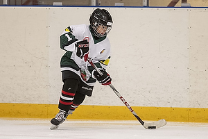 Klik for at se eller bestil foto