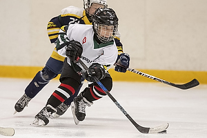 Klik for at se eller bestil foto