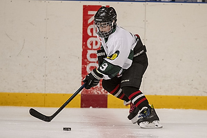 Klik for at se eller bestil foto