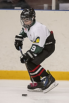 Klik for at se eller bestil foto