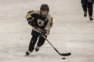 Klik for at se eller bestil foto